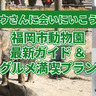 ゾウさんに会いにいこう！福岡市動物園最新ガイド＆グルメ満喫プラン