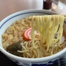 のどかな港町の風情が人気