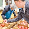JA湘南野菜部会　今年も出来栄え良し　トマト、キュウリ品評会