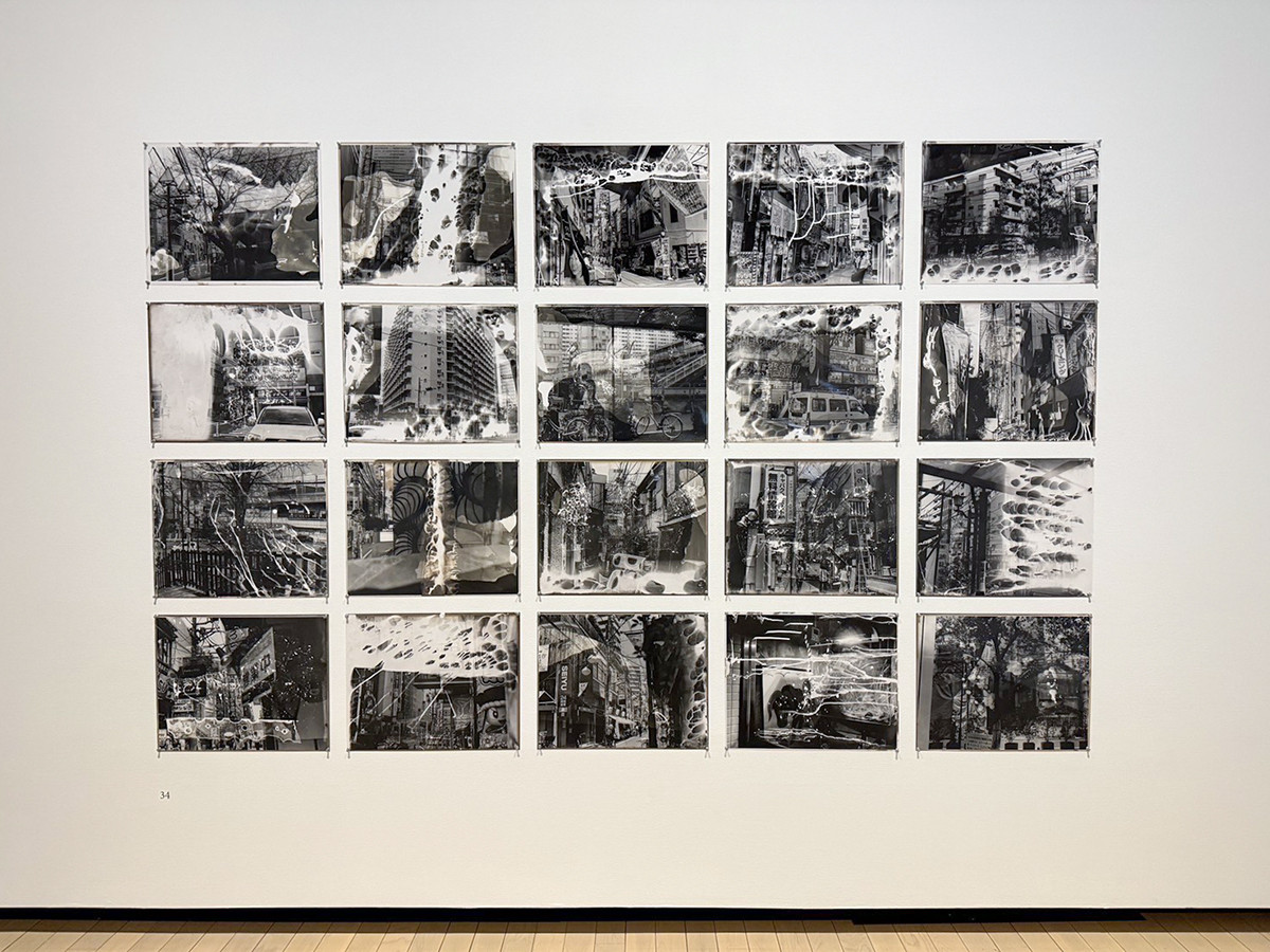 石内都ら5名が出品 ― 東京都写真美術館30周年で「作家の現在 これまで