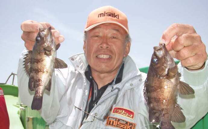東京湾のエビメバル釣りが解禁！」タックル・仕掛け・釣り方