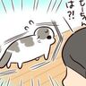 突然の大きな揺れに驚いたのは人間だけじゃない【猫マンガ】もふもふスコたん