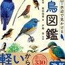 最新「日本鳥類目録第8版リスト」に準拠した、日本中にすんでいる代表的な野鳥330種を収録したハンディ図鑑！