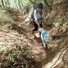 愛犬と登山のススメ【穴澤賢の犬のはなし】