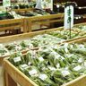【東温市・いしづち山麓マルシェ】愛媛の旬ざんまい！