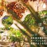 古き良き博多のまちにオープンした花と緑の楽園のような『花屋スヴニール』（福岡市博多区）【一人一花はなきん便り】Vol.11
