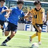 【速報】静岡県高校総体サッカー3回戦結果　8強出そろう！聖隷が1－0で浜名を撃破、富士東は袋井に2－0