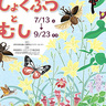 カブトムシや食虫植物を大自然の中観察できる♪　六甲高山植物園で伊丹市昆虫館とのコラボイベント「しょくぶつとむし」開催中　神戸市