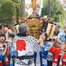 王子神社で例大祭　４月29日、演芸ショーも