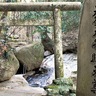 七沢、蛇とのゆかり深く　宇賀神や蛇形の像点在