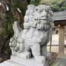 神社仏閣で見かける動物たちにはそれぞれ意味があった！