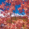 四季の風景など31点　12月22日まで