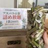実は美味しい！旬の今だけのお楽しみ「アスパラの茎詰め放題」に行ってきた