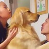 父が仕事から帰ってきた結果、犬と娘が…あまりにも尊い『ハグの順番待ち』が幸せ過ぎると13万再生「可愛いなあ」「パパの取り合い」と悶絶