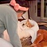 犬がパパに熱いキスをされたと思ったら…まさかの『赤ちゃんみたいな光景』が14万再生「お姫様すぎる」「悶絶級の可愛さ」と絶賛