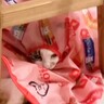 「斬新すぎるｗ」電動のおもちゃで遊んでくれなかった猫→カバーだけ置いておいたら…『まさかの姿』が114万再生「コントみたいｗ」