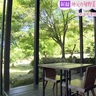 鳥のさえずりが聞こえる山々に囲まれた『cafeたねの隣り』で旬のお野菜ランチ（うきは市）【トレンド】