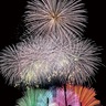 芸術花火に１万人　翌日はボランティアが清掃