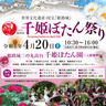 ぼたん祭りで多彩なステージやお茶席も楽しもう！　姫路城