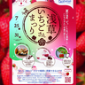 7/25(金)～7/31(木)｜浅草をいちごでジャック⁉「浅草いちごさんまつり2025」が開催！