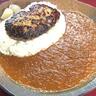 大人気カレーの名店！20種類のスパイス煮込む熟成…肉のうま味がジュワッと広がるハンバーグカレー