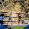 地元レスラーに歓声　先月　芹が谷公園で町田プロレス