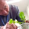 虫がつかない「無菌の土」で野菜が育つ未来…狙うは万博！親子の挑戦が大きな反響