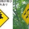 “シカが飛び出しまくる”北海道ならではの道路標識に「シカたないでは済まされない」
