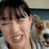 『ワンッ！！』犬の前で"犬語"を練習した結果→物凄い剣幕で…『まさかのリアクション』が57万再生「口論してて草」「可愛すぎて５周見たｗ」