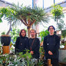 【新店・AOKIKAEN】多彩な観葉植物が並ぶ店内は植物園さながら！｜南魚沼市塩沢・アオキカエン