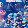 舞うように泳ぐ！『三宮オーパ2』に全国各地の珍しい金魚たちが大集合するアクアリウムイベント