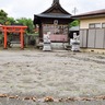 境内に“妖精の輪”？　社護神社の土俵にキノコ