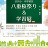 八重桜祭り＆学習展　３月１日　渋沢公民館