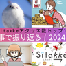 ことし、最も多く読まれた記事は？Sitakke2024年・人気記事ランキング振り返り