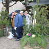 5年ぶり門松作りに汗　「松竹梅」持ち寄る　伊賀・青山恵比寿神社
