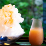 【金沢】人気店から老舗まで。暑い夏に食べたい！ふわふわ「かき氷」15選【編集部厳選】