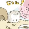 我が家の新メンバー♪[10年ぶりに出産しました#211]