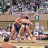 大相撲秦野場所　満員御礼、10年ぶり大歓声