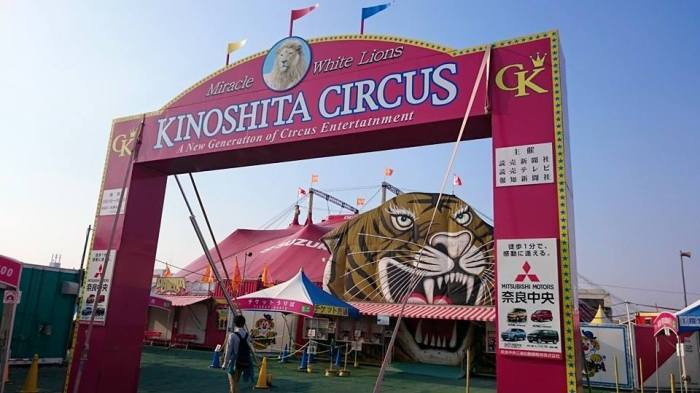 木下サーカス生誕100年史 Kinoshita Circus