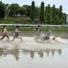 【浜名区】小学生が泥まみれ　どろりんぴっく＆田植え体験で「地域を愛する気持ちを」
