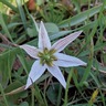 木もれび春探し　３月22日
