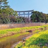 花咲く寒川、観光ボラが案内　２月22日開催　申し込み先着