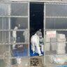 【殺処分188羽】新潟県上越市の採卵鶏農場で鳥インフル発生、15時に防疫措置完了