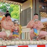 亀ヶ池八幡宮　泣き相撲参加者募集　５月18日（日）開催