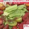 サニーレタスやほうれん草が100円！オリジナルドレッシングも必見！春なのに“秋の味覚”も…（福岡県朝倉市）【ふるさとWish】