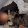 疲れて帰ってきた女の子に、優しい猫が…まさかの『尊い光景』に感動する人が続出「目頭が熱くなる」「絆に泣きそうになった」と13万再生