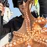 【船釣り釣果速報】島原沖のマダコ釣りで型・数共に今後に期待大！（大分・熊本）