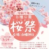 白幡神社で桜祭り　29日　お楽しみ抽選会も