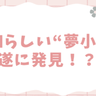 令和らしい“夢小説”をオタクが発掘！？MBTI設定で進化した内容に「時代すぎるだろwwwwww」