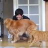 猫と大型犬が『急に倒れた飼い主』を見たら…まさかすぎる結末に「3人一緒ｗｗ」「完敗しててワロタ」と3万1000再生の反響